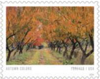 Autumn Colors
