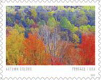 Autumn Colors