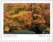 Autumn Colors