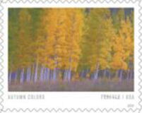 Autumn Colors