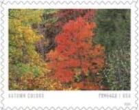 Autumn Colors