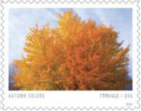 Autumn Colors