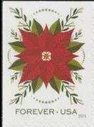Poinsettia