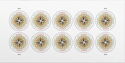 1794 Compass Rose