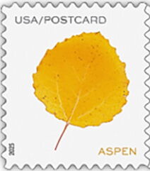 Aspen Leaf