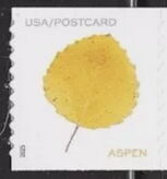 Aspen Leaf