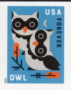Owl