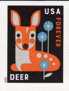 Deer