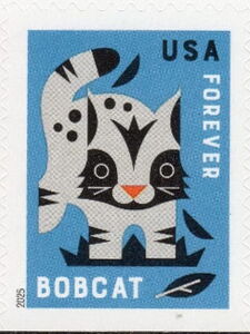 Bobcat