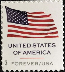 Flag of the United States of America