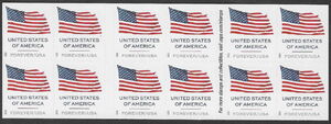 Flag of the United States of America