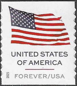 Flag of the United States of America