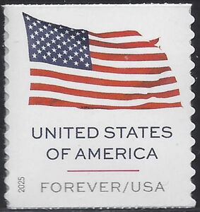 Flag of the United States of America (BCA)