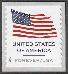 Flag of the United States of America