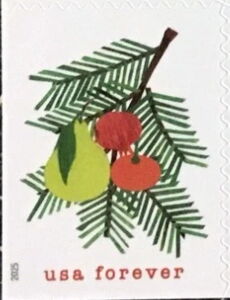 Evergreen and Fruit