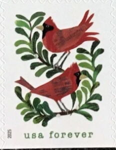 Cardinals