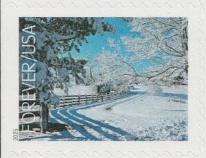 Winter Landscapes