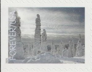 Winter Landscapes